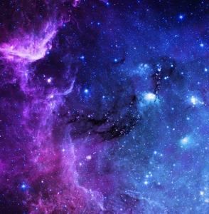 Meet your Posher, Eli